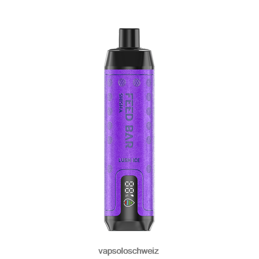 VapSolo Preis - VapSolo SHISHA Einweg-Vapor VB4B8X8 üppiges Eis