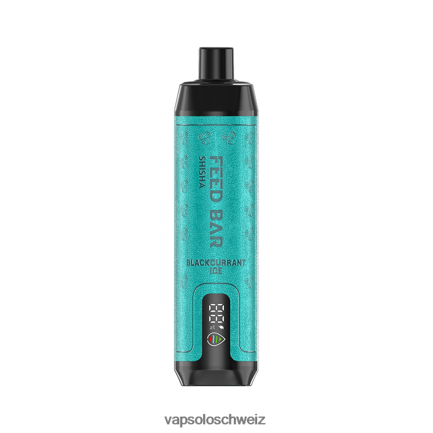 VapSolo Zürich - VapSolo SHISHA Einweg-Vapor VB4B8X2 schwarzes Johannisbeereis