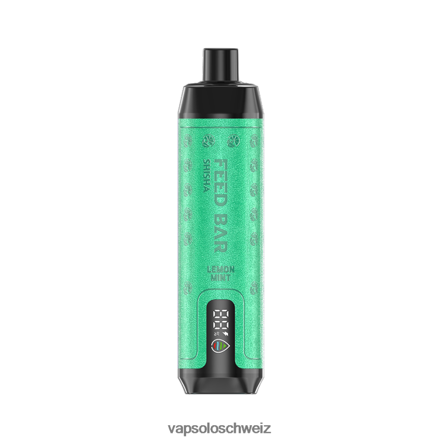 VapSolo Zürich - VapSolo SHISHA Einweg-Vapor VB4B8X7 Zitronenminze