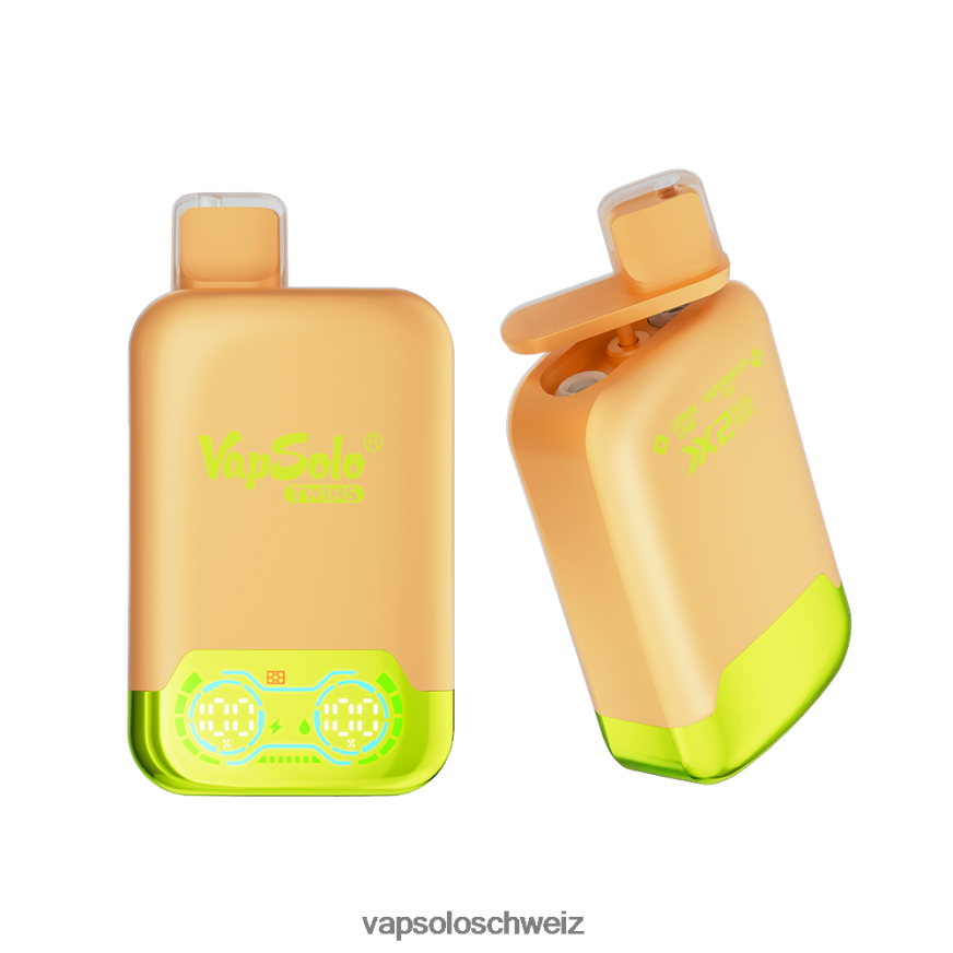VapSolo Kaufen - VapSolo TWINS Einweg-Vapor VB4B8X29 Zitronen-Limetten- und Wassermeloneneis